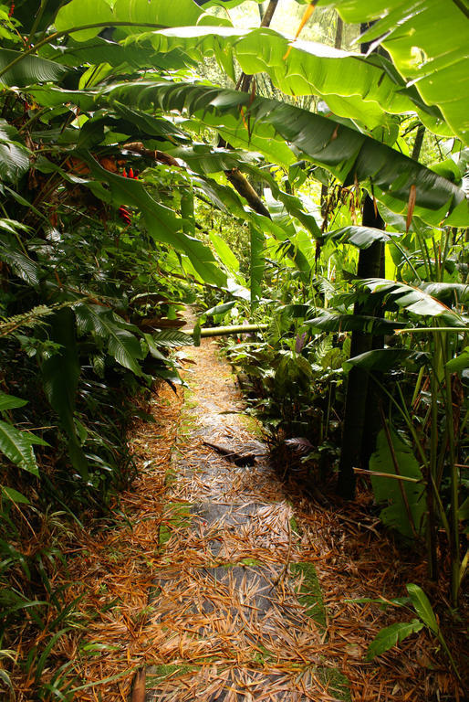 Hotel Campestre La Floresta Puerto Espejo Eksteriør billede